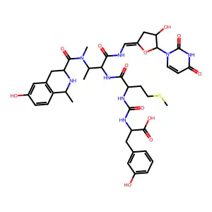 Napsamycin B structure