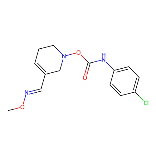 RefChem:282075 structure