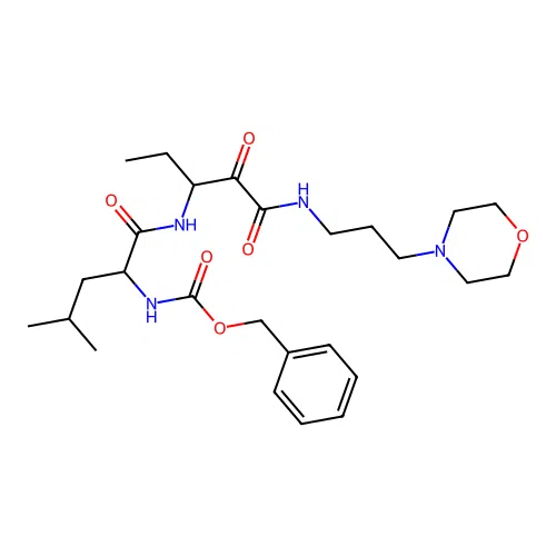 Z-L-Abu-CONH(CH2)3-morpholine structure