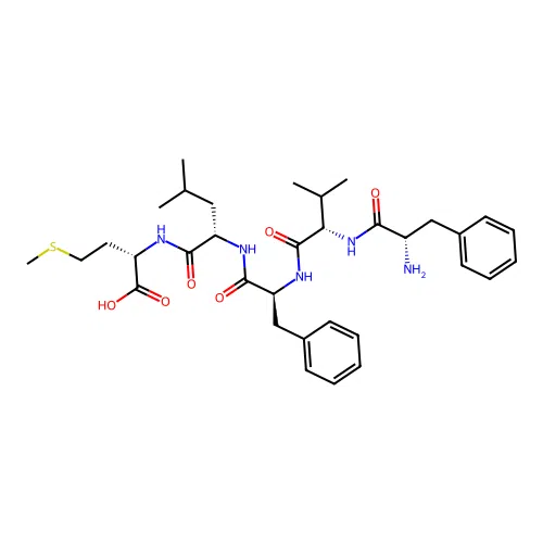 Fvflm structure