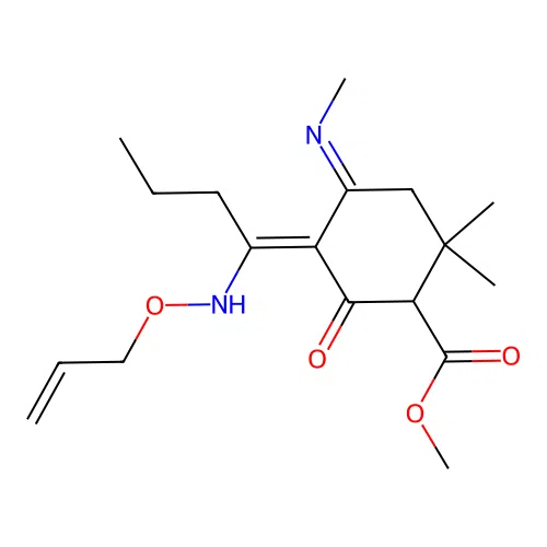methyl (5Z)-2,2-dimethyl-4-methylimino-6-oxo-5-[1-(prop-2-enoxyamino)butylidene]cyclohexane-1-carboxylate structure