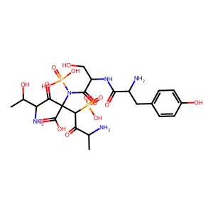 Alanyl-phosphothreonyl-phosphotyrosyl-seryl-alanine structure