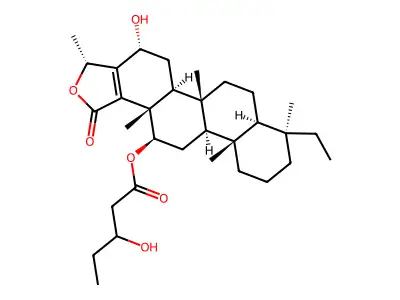 Phyllactone A structure