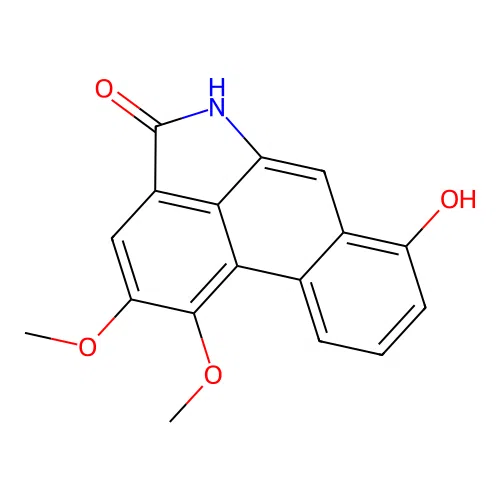 Velutinam structure