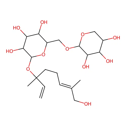 Neohancoside B structure