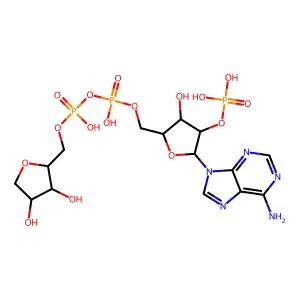 neurotrophin 4/5 structure