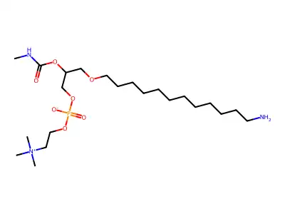 BN 52719 structure
