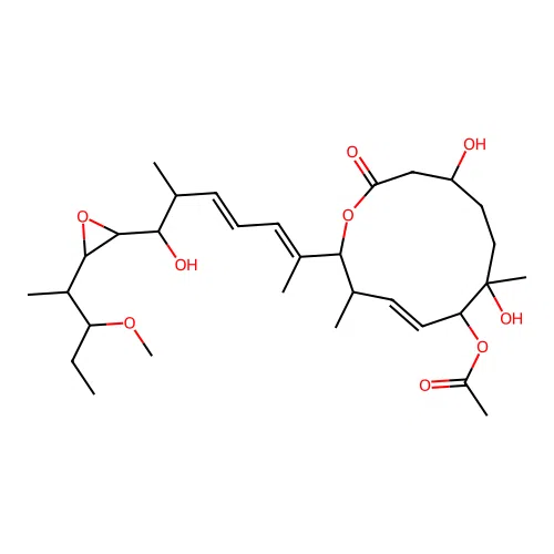 FD 895 structure