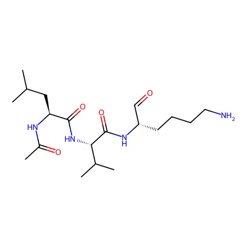 HY-P4532 structure
