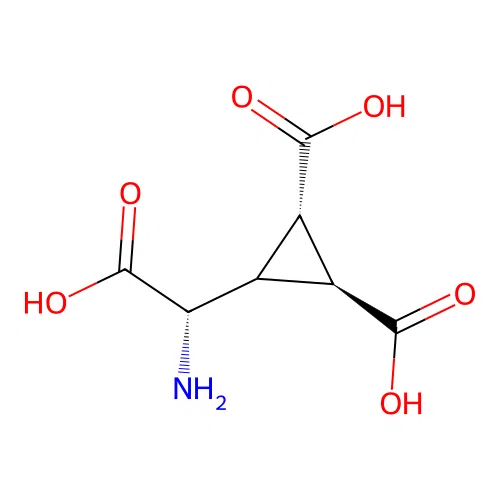 (1S,2S)-3-[(S)-amino(carboxy)methyl]cyclopropane-1,2-dicarboxylic acid structure