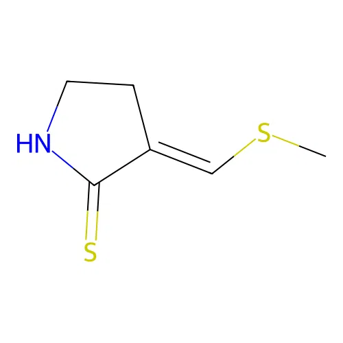(E)-3-(Methylthiomethylene)pyrrolidine-2-thione structure