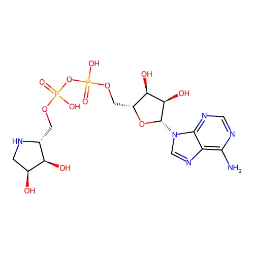 Adenosine diphosphate (hydroxymethyl)pyrrolidinediol structure