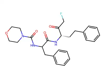 P 34081 structure
