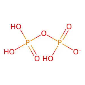 Diphosphate(1-) structure