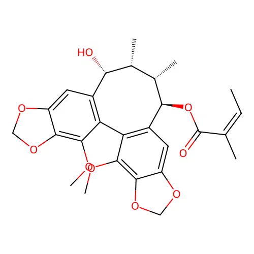 schisantherinL structure