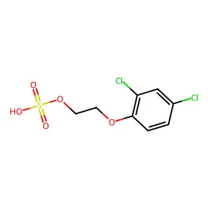 Disul structure