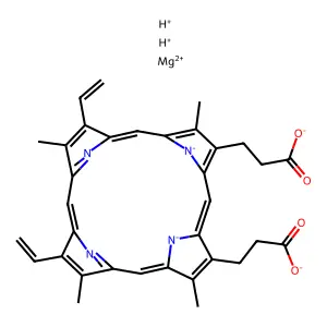 Mg(II) protoporphyrin IX structure