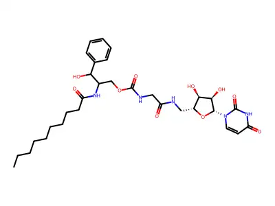 PP36 structure