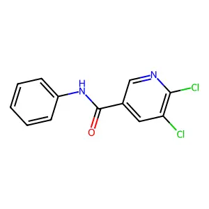 5,6-dichloro-N-phenylpyridine-3-carboxamide structure