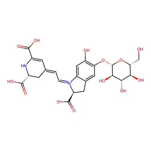 Isobetanin structure