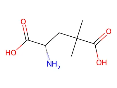4-Amino-2,2-dimethylpentanedioic acid structure