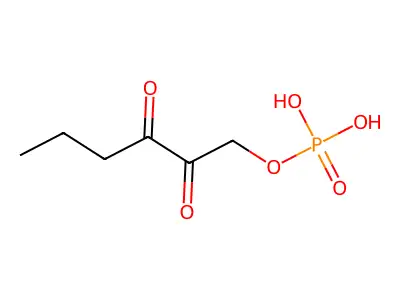 2,3-Diketo-1-phosphohexane structure