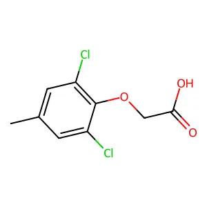Porphyrillic acid structure