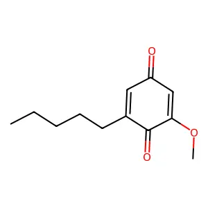 Primin structure