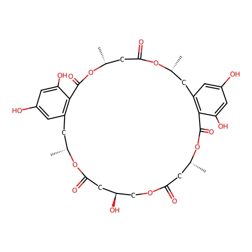 NG 011 structure