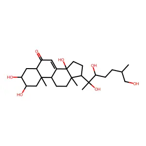 Inokosterone structure