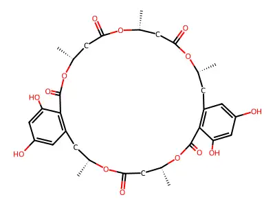 BK223 C structure