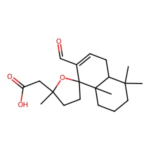 17-Oxogrindelic acid structure