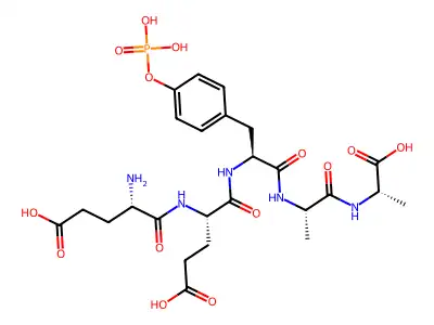 Glutamyl-glutamyl-phosphotyrosyl-alanyl-alanine structure