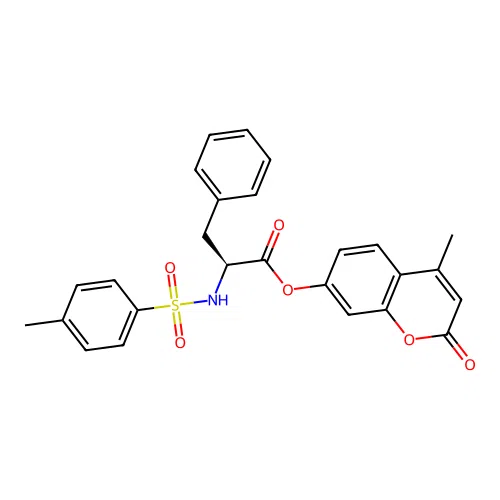 EiM07-29730 structure