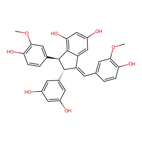 Gnetulin structure