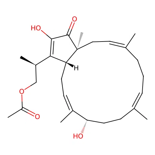 Proliferin structure