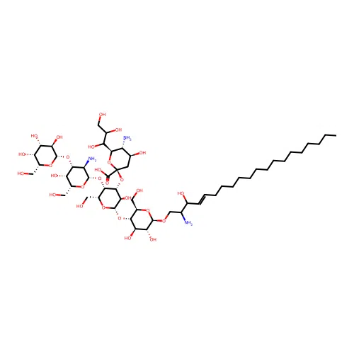 Wild 20 structure