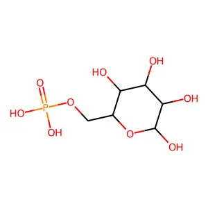 Beta-D-Glucose 6-phosphate structure