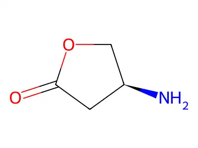 4-Aminodihydro-2(3H)-furanone structure