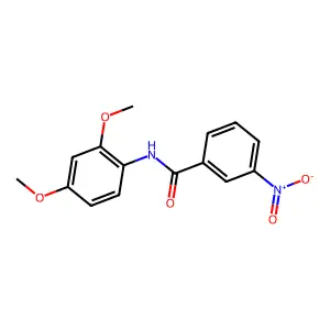 N-(2,4-dimethoxyphenyl)-3-nitrobenzamide structure