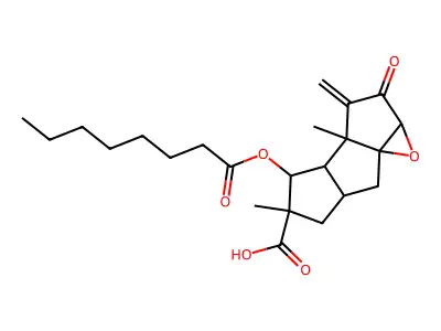 Phellodonic acid structure