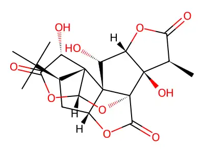 Ginkgolide B structure