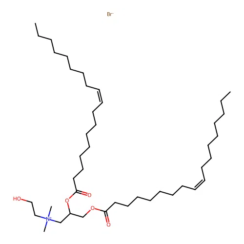 Dori structure