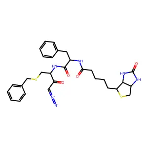 biotin-phenylalanyl-(S-benzyl)cysteinyl-diazomethane structure