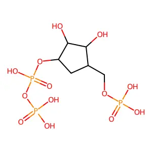 Carboxylic PRPP structure