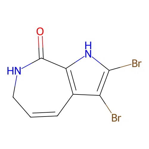 2,3-Dibromo-6,7-dihydropyrrolo[2,3-c]azepin-8(1H)-one structure