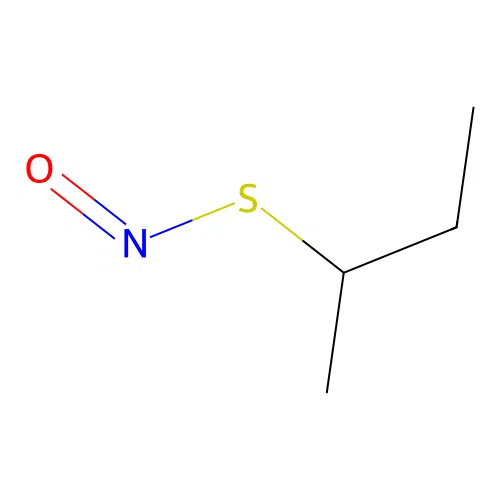 2-Nitrososulfanylbutane structure