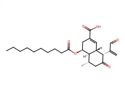 N,N-diethylaniline;2,4,6-trinitrophenol structure