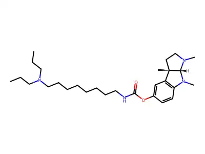 MF 256 structure