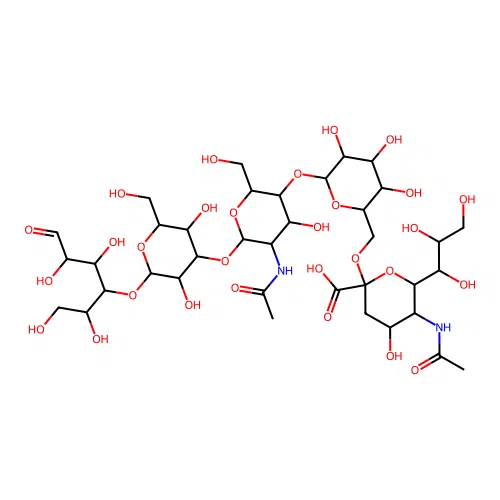 LSTc structure